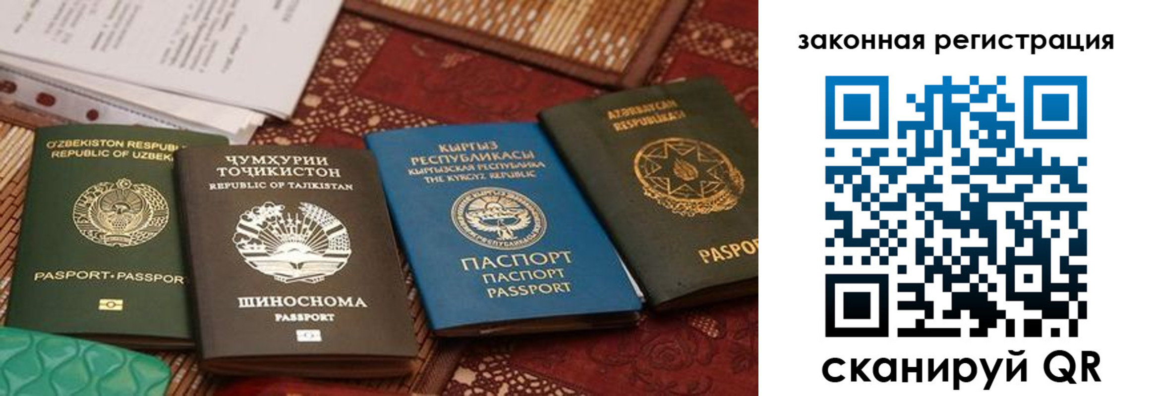 пропишу в квартире в Гатчине